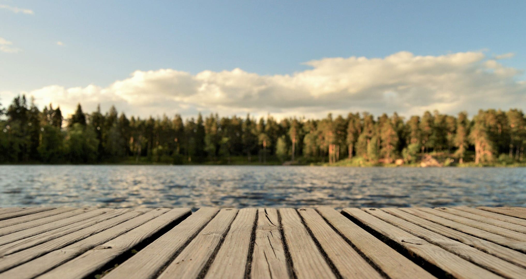 view of texas lake and trees on a dock