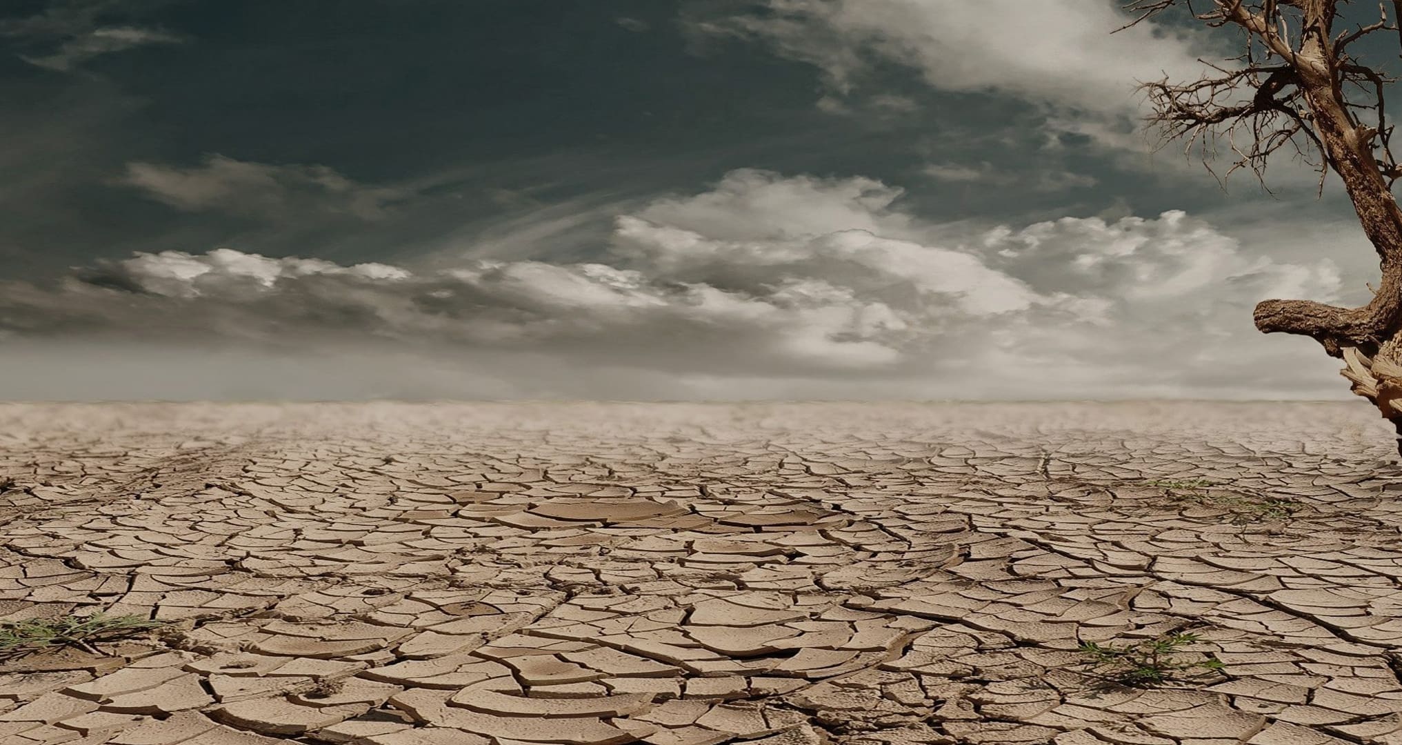 dried out desert land in texas