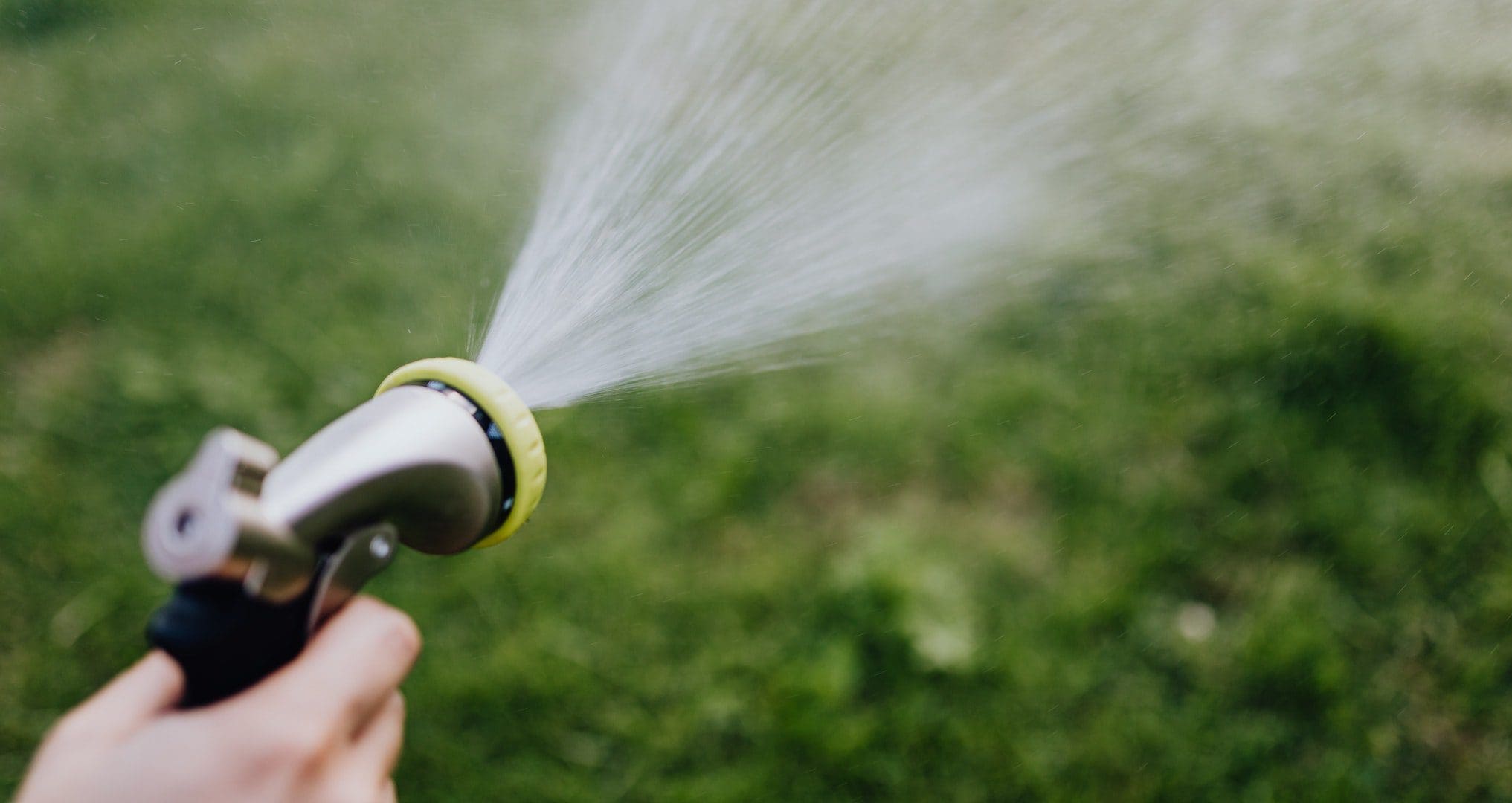 person using a water sprayer on a yard