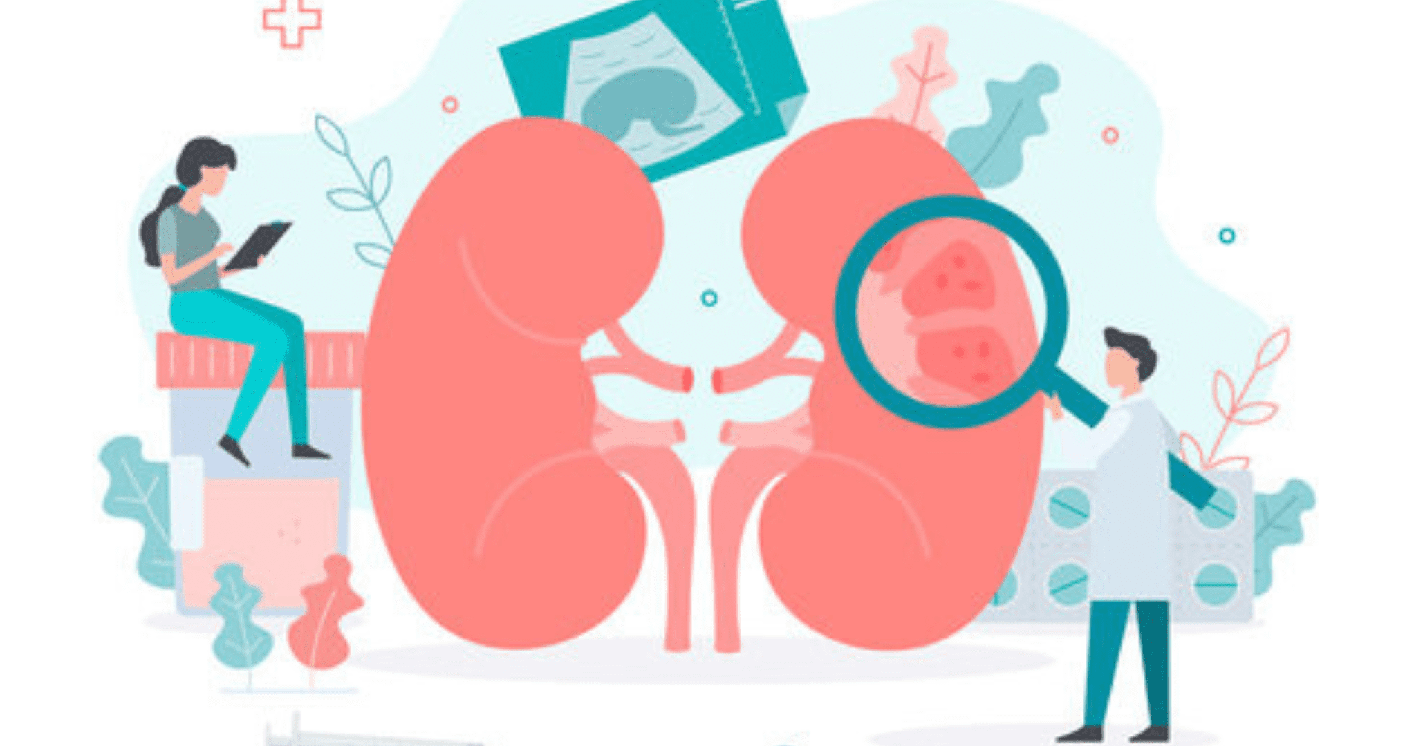 How dehydration can affect the kidneys