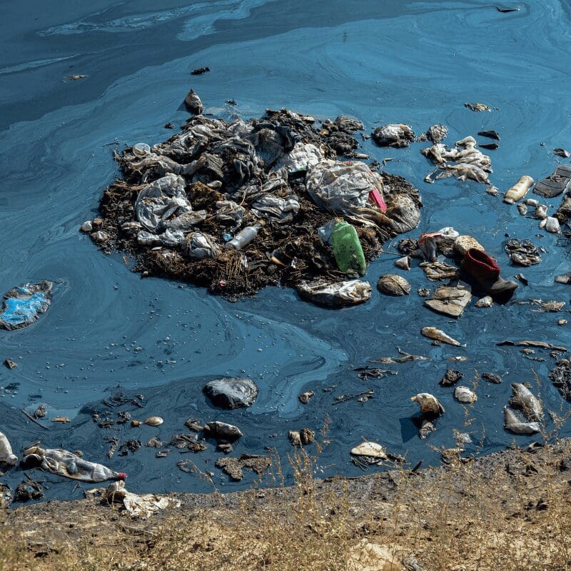 toxic pond trash, polluting body of water