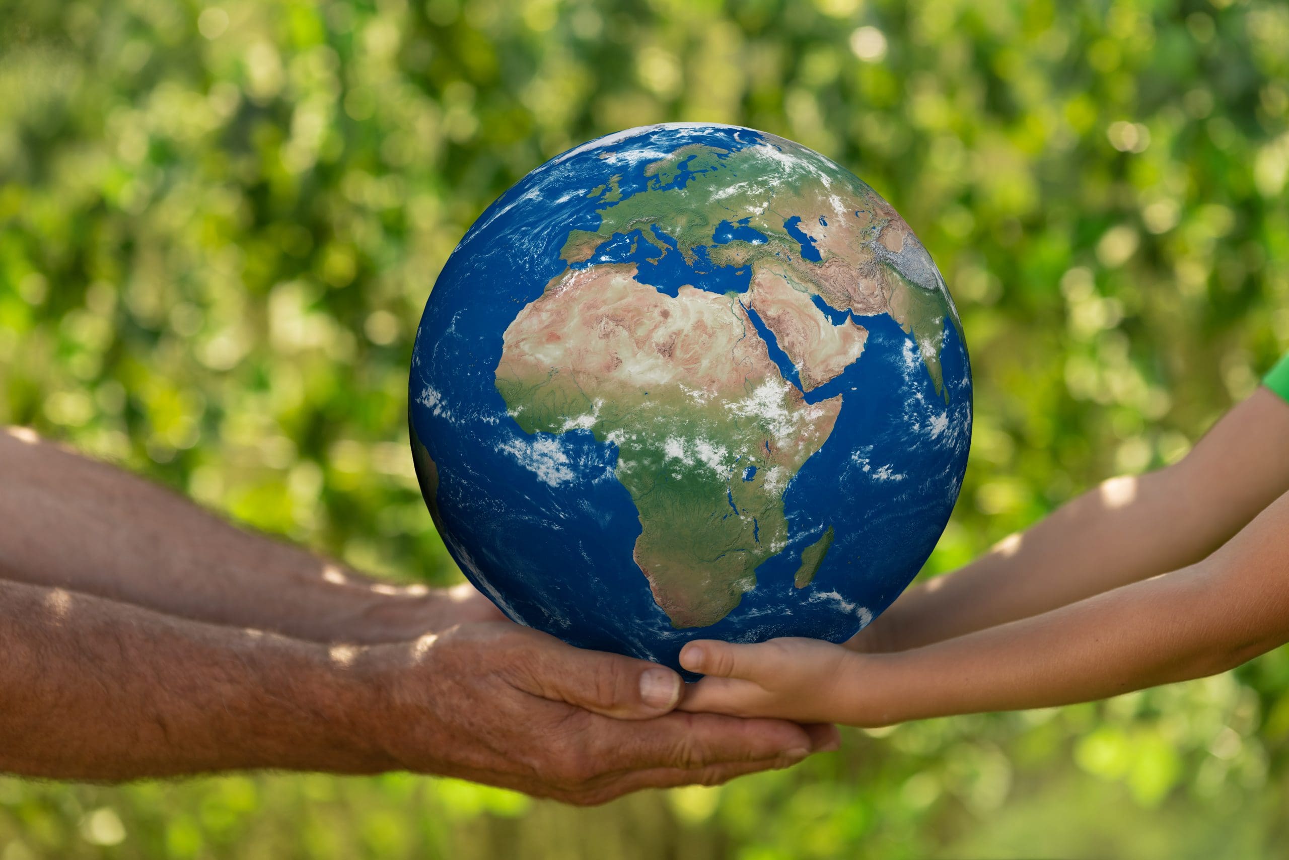 How to Engage in Earth Month