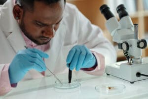 Student Examining Dead Insect scientist studying in the lab
