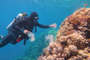 Man scuba diver cleaning plastic from the tropical coral reef. World ocean contaminated by plastic. diver collecting plastic garbage from around a coral reef in Texas